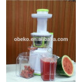 DC Motor langsam juicer